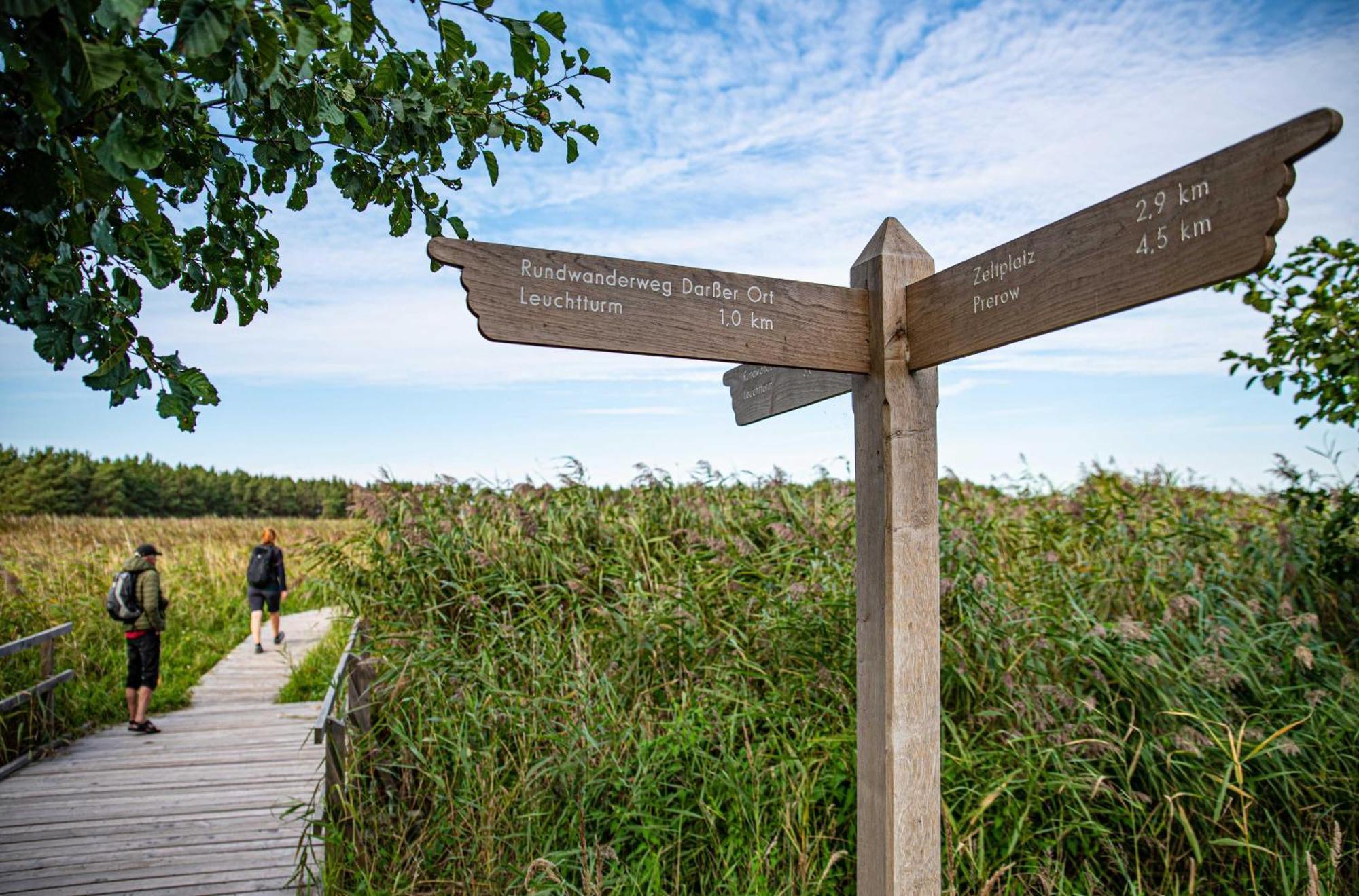Strandhafer An Der Seebruecke Zingst Zewnętrze zdjęcie