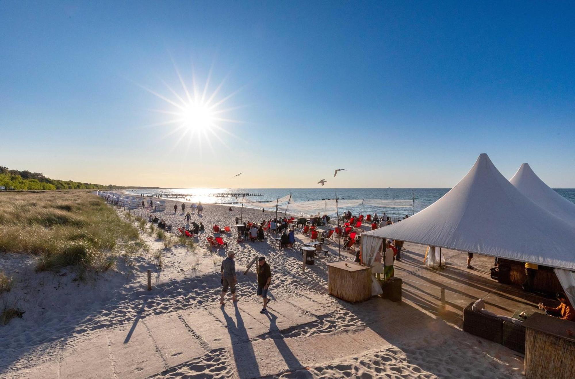 Strandhafer An Der Seebruecke Zingst Zewnętrze zdjęcie