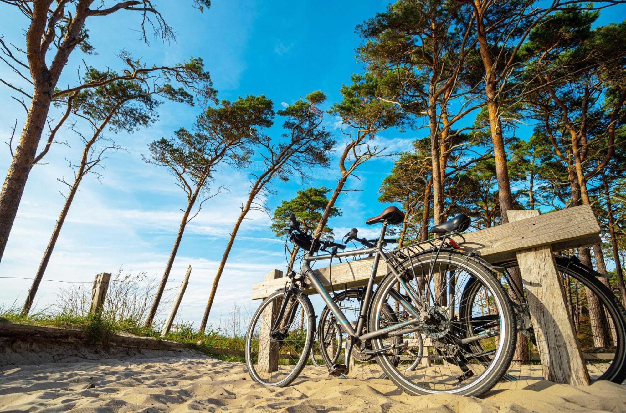Strandhafer An Der Seebruecke Zingst Zewnętrze zdjęcie