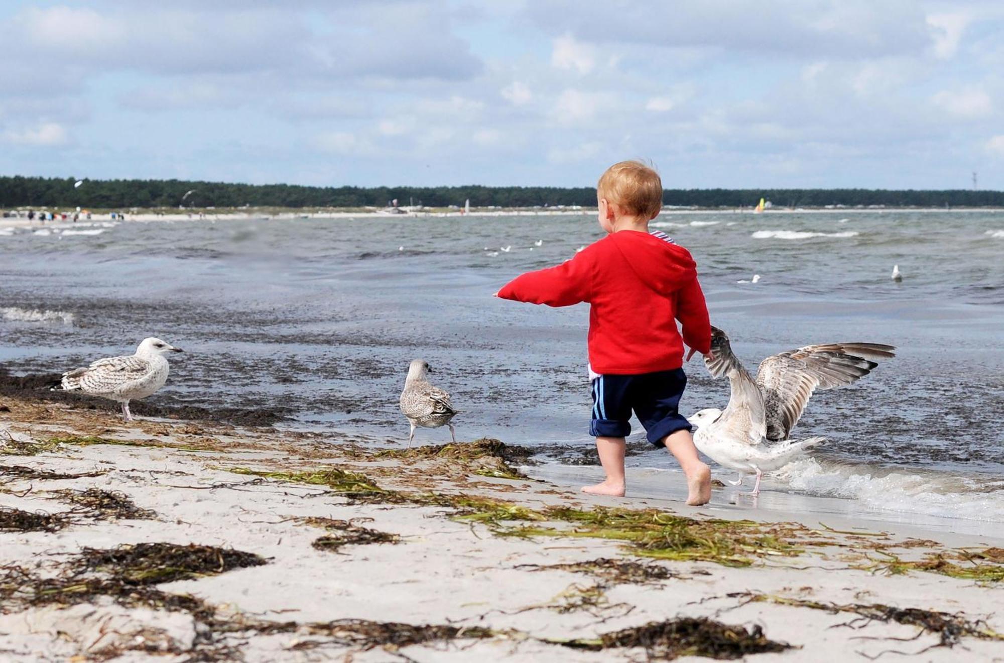 Strandhafer An Der Seebruecke Zingst Zewnętrze zdjęcie